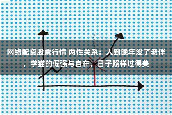 网络配资股票行情 两性关系：人到晚年没了老伴，学猫的倔强与自在，日子照样过得美