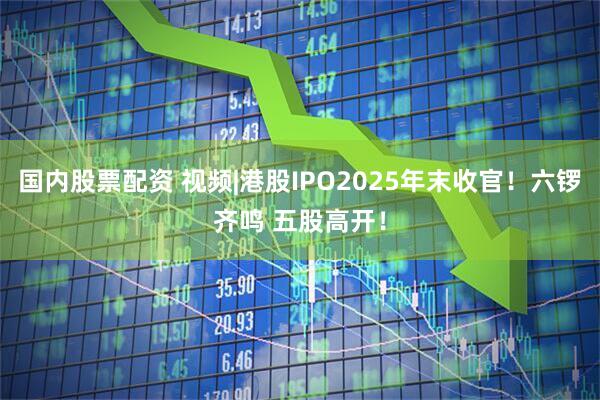 国内股票配资 视频|港股IPO2025年末收官！六锣齐鸣 五股高开！