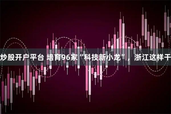 炒股开户平台 培育96家“科技新小龙”,浙江这样干