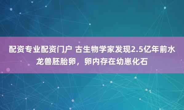 配资专业配资门户 古生物学家发现2.5亿年前水龙兽胚胎卵，卵内存在幼崽化石