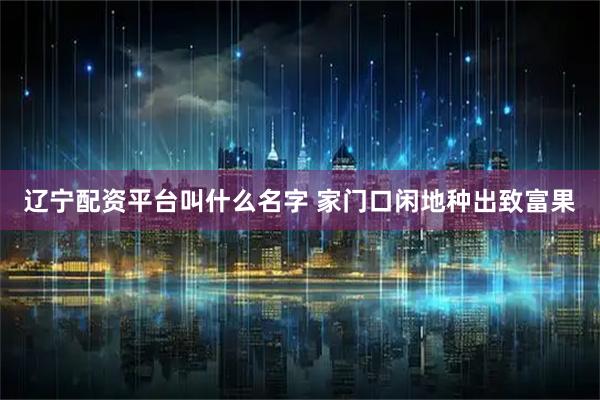 辽宁配资平台叫什么名字 家门口闲地种出致富果